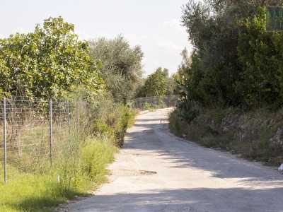 Ad accoglierci ulivi, alberi di fico, muretti a secco e una retina di metallo, che delimita l�argine del �canyon�, alto comunque solo un paio di metri